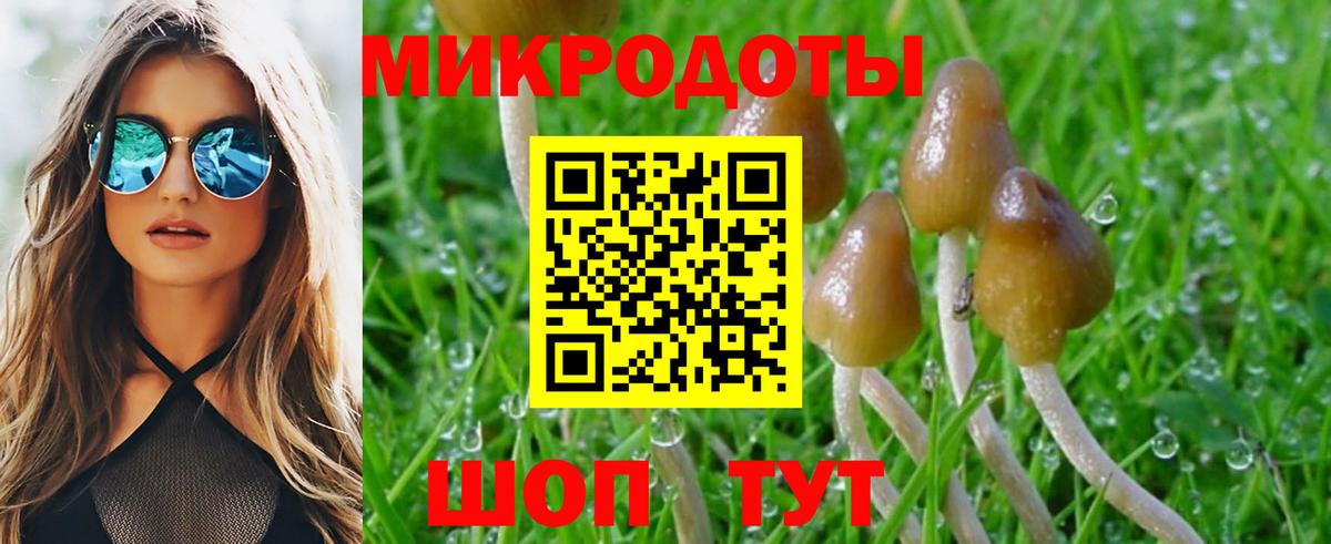 Киржач  Псилоцибиновые грибы Psilocybe  Вход с VPN  Галлюциногенные грибы Psilocybine cubensis 
